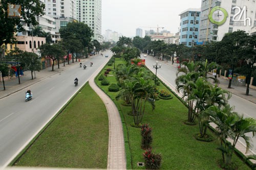 Đường Nguyễn Chí Thanh chỉ một màu xanh của cây lá.